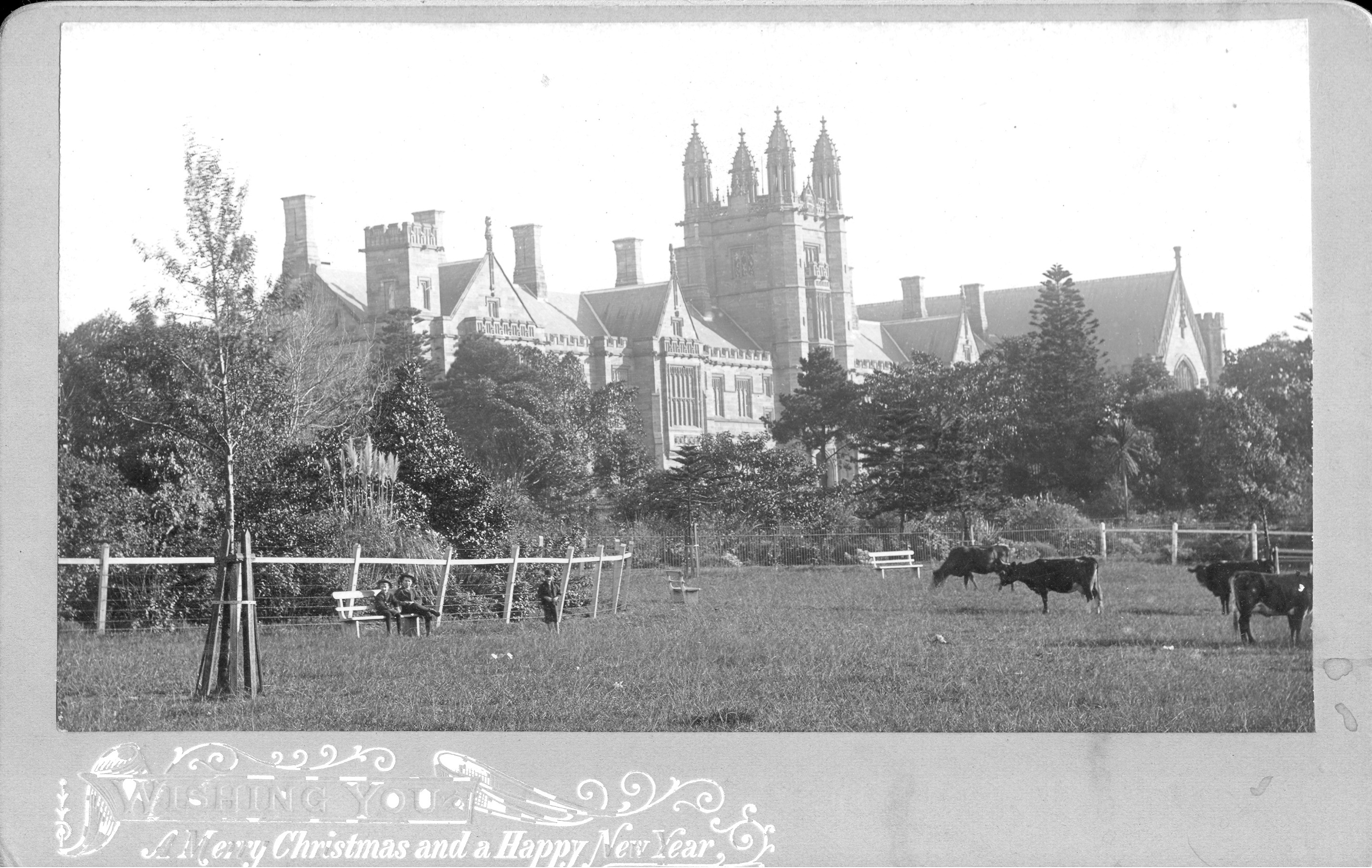 MAIN BUILDING FROM SOUTH EAST, COWS IN FOREGROUND