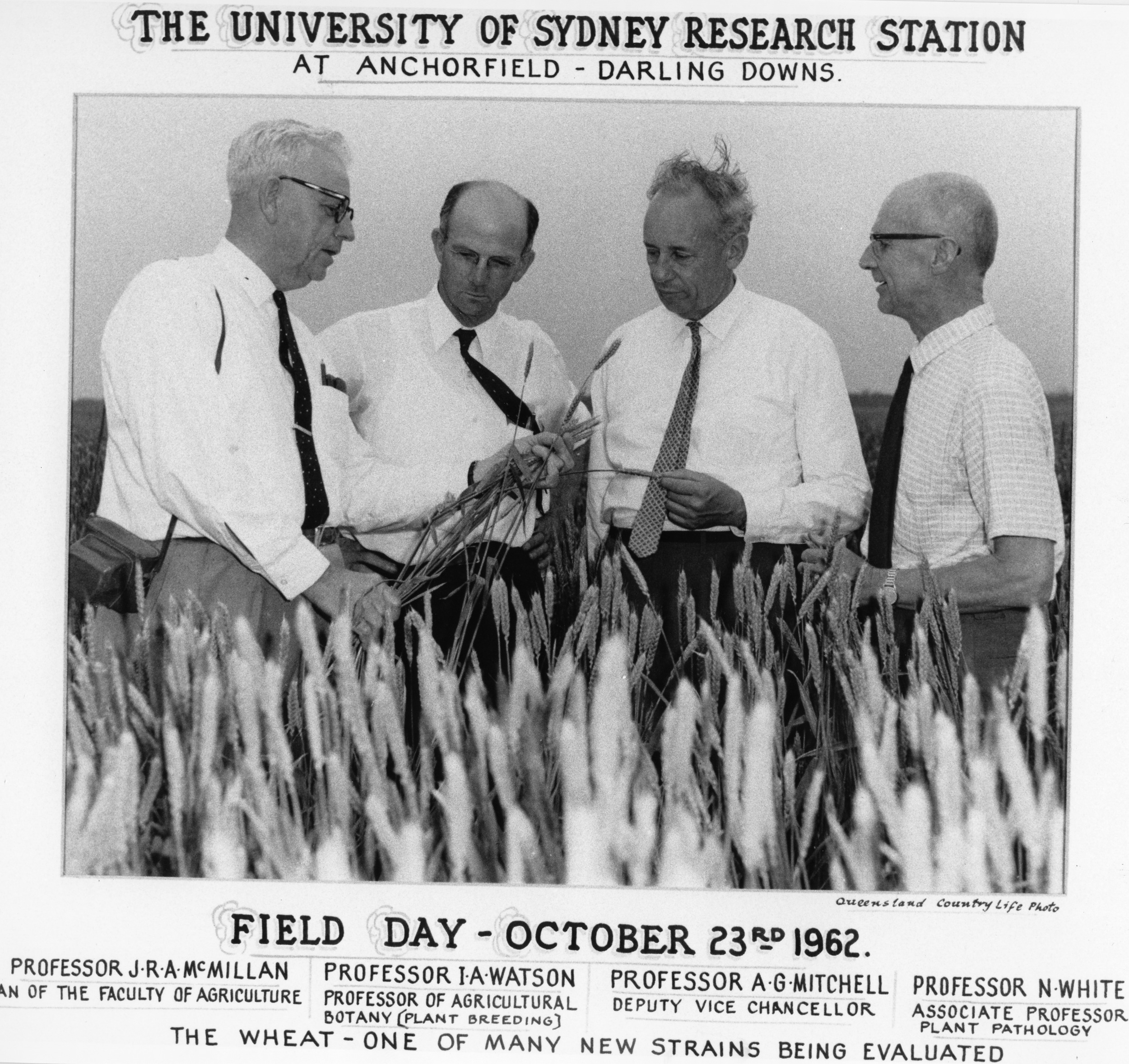 FIELD DAY AT RESEARCH STATION AT ANCHORFIELD, DARLING DOWNS, QUEENSLAND
